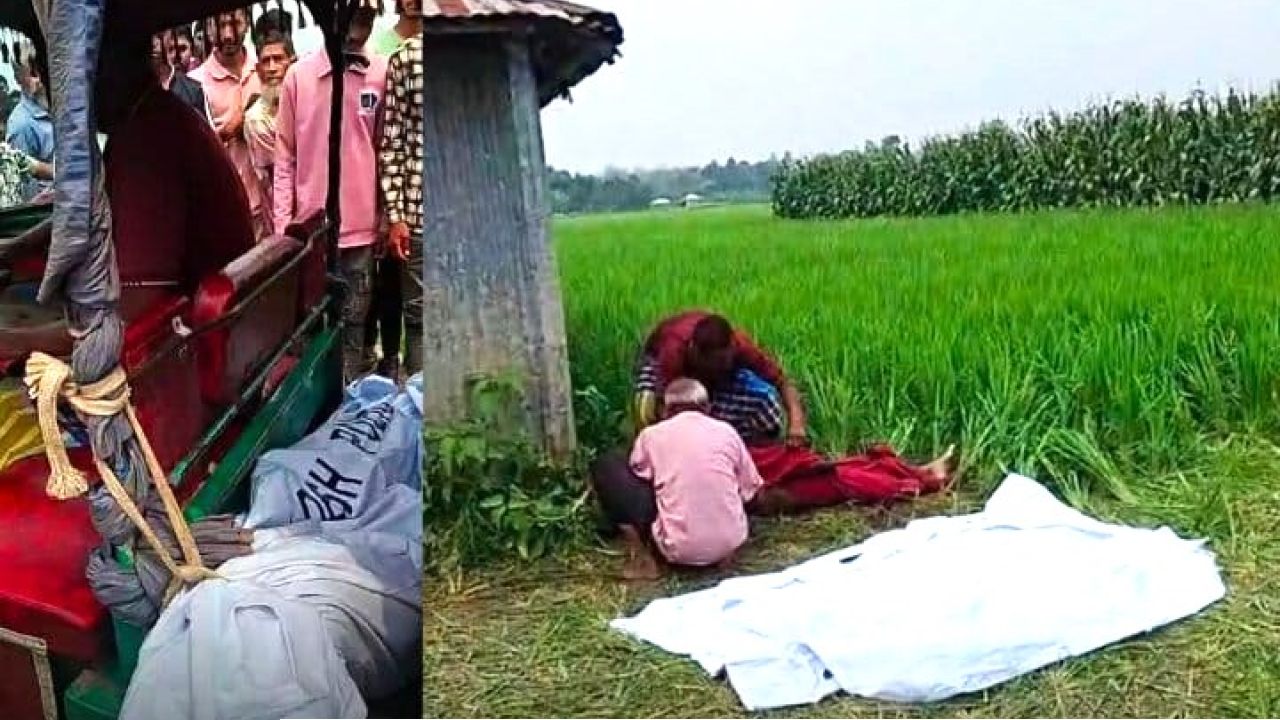 গাবতলীতে বৃদ্ধকে হত্যা, ধানক্ষেত থেকে মরদেহ উদ্ধার