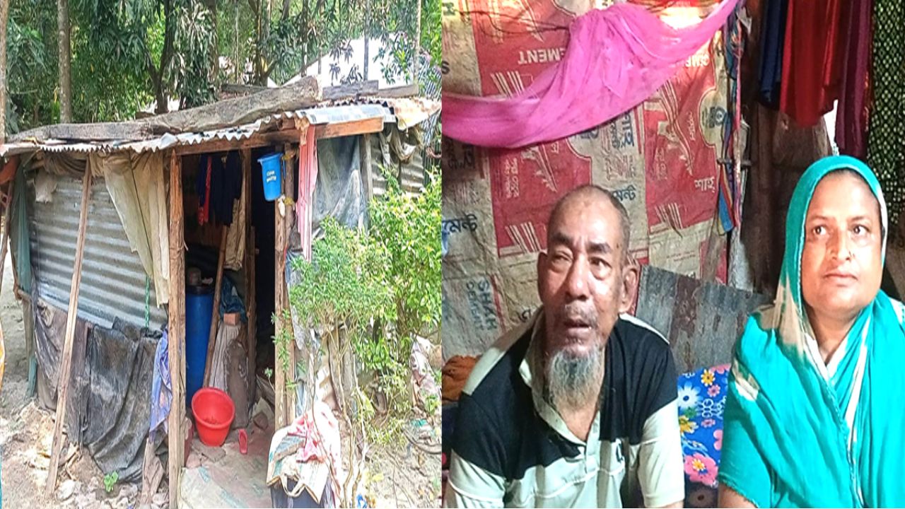 গৌরনদীতে ঝুপড়ি ঘরে অসহায় জীবনযাপন অসুস্থ আকতার ফকিরের পরিবারের দিকে সহায়তার হাত বাড়ানোর দাবি