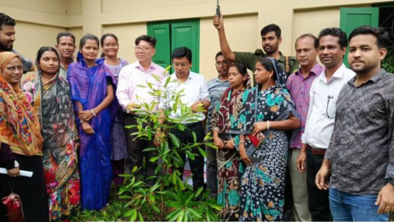 গৌরনদীতে সিসিভিবিতে ইউএনও মো. ইব্রাহীমের বৃক্ষরোপণ ও চারা বিতরণ